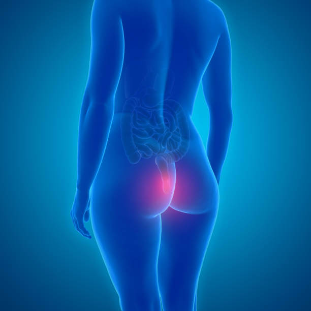 항문거근증후군 원인&amp;#44; 증상&amp;#44; 치료&amp;#44; 예방법을 참고하시기 바랍니다. 