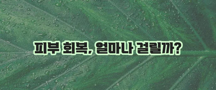 피부 레이저 시술 후 재생기간 꼭 알아봐야겠죠?