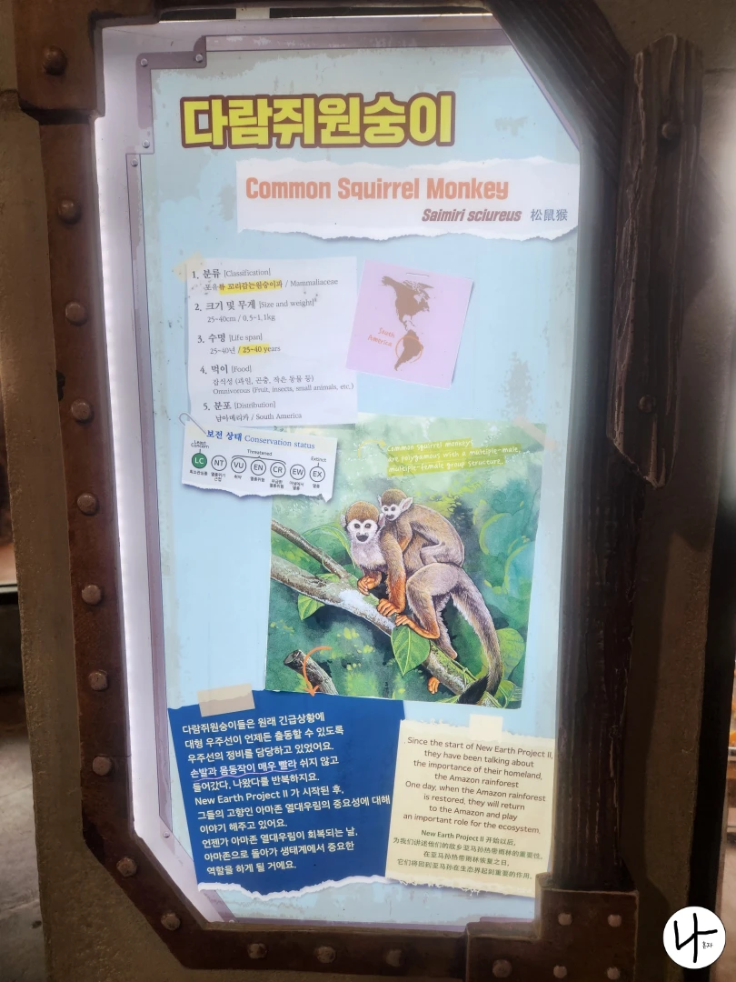 다람쥐원숭이-키-몸무게-서식지-정보