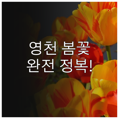 경북 영천 봄나들이 명소 추천과 방문..