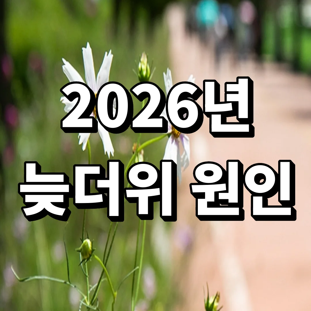 처서인데 왜 안 시원하지? 2026년 늦더위 원인 정리