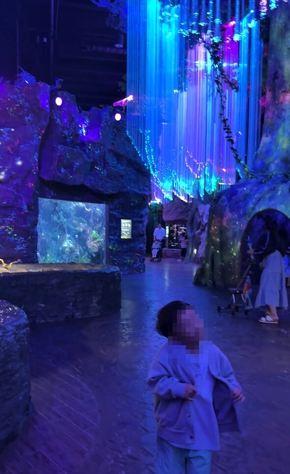 여수아쿠아플라넷-공연전시시간