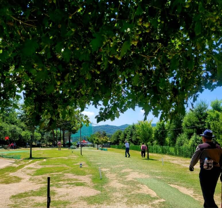 양주 나리공원 파크골프장 라운딩 모습