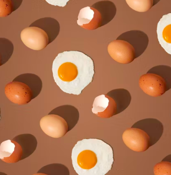 다이어트 식단 추천 레시피 요리