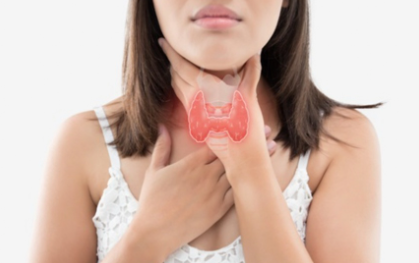 갑상선 기능저하증의 혈액 검사 수치