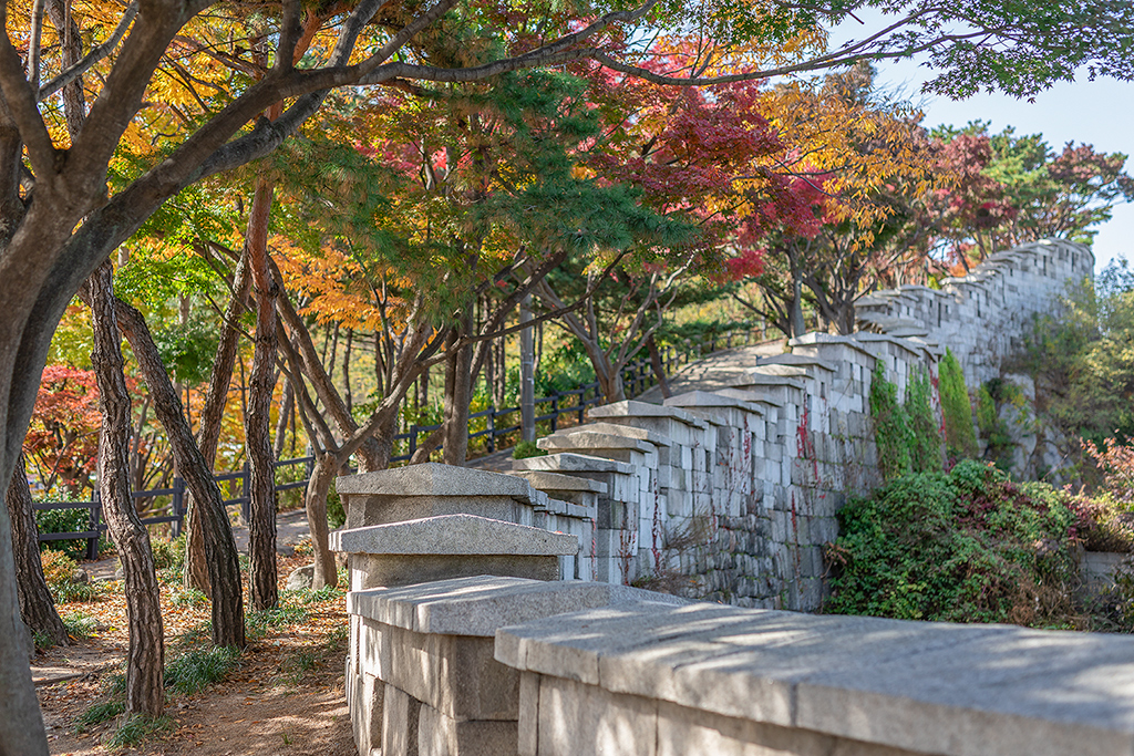 혜화문
성북동
한양도성길
백악구간
서울여행
서울단풍
가을단풍
단풍