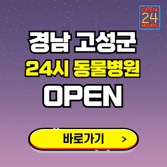 경남 고성군 24시 동물병원 진료하는 곳 ❘ 설날 휴일 야간 심야 문여는곳 찾기 ❘ 응급진료