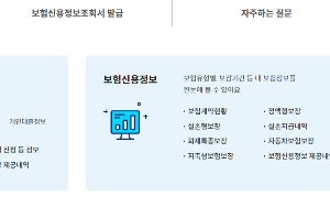 실손지급내역