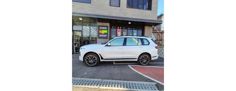 고양 일산동구 ppf