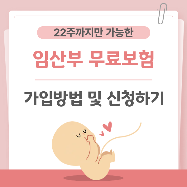 임신부 무료보험 가입방법 및 신청하기