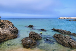 2024 강원도 해수욕장 개장일 추천 BEST 7