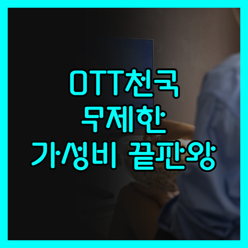 뷰모텔, OTT 천국! 넷플릭스, 티