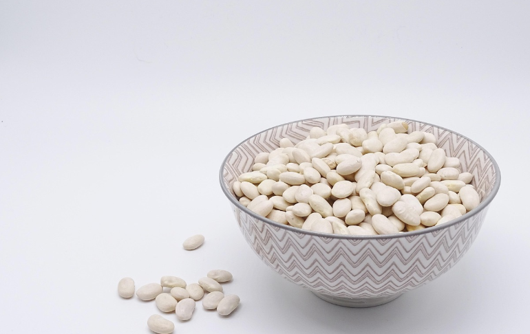 식물성 단백질인 콩 이미지