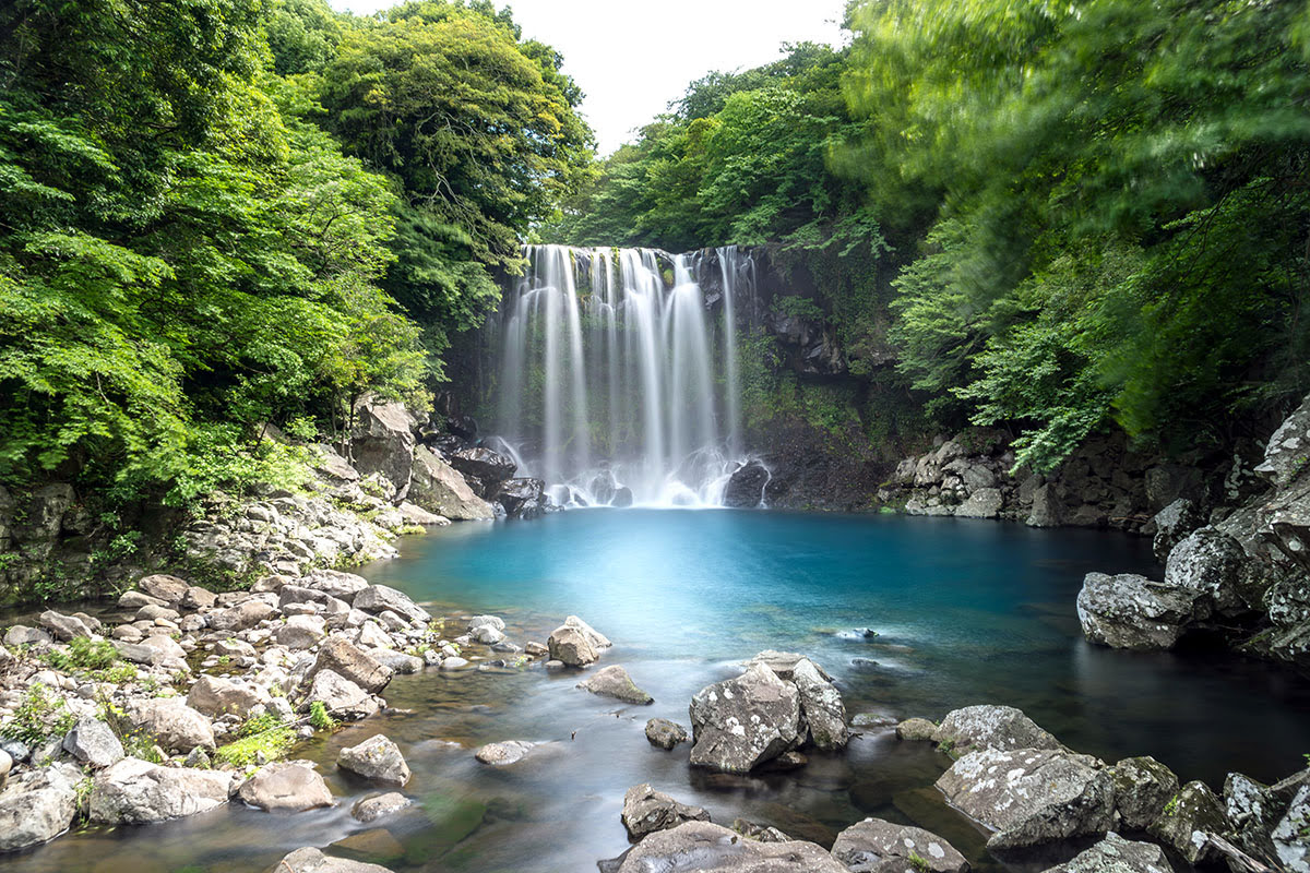 최저가 제주도 항공권 예매방법