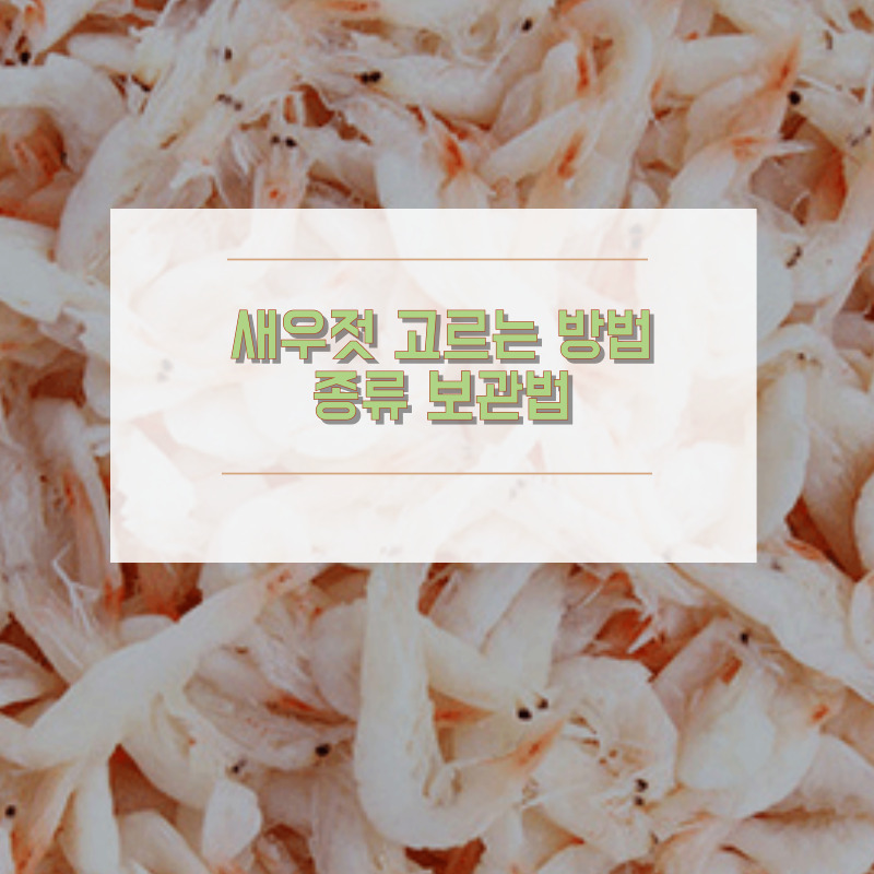 새우젓 고르기 보관법