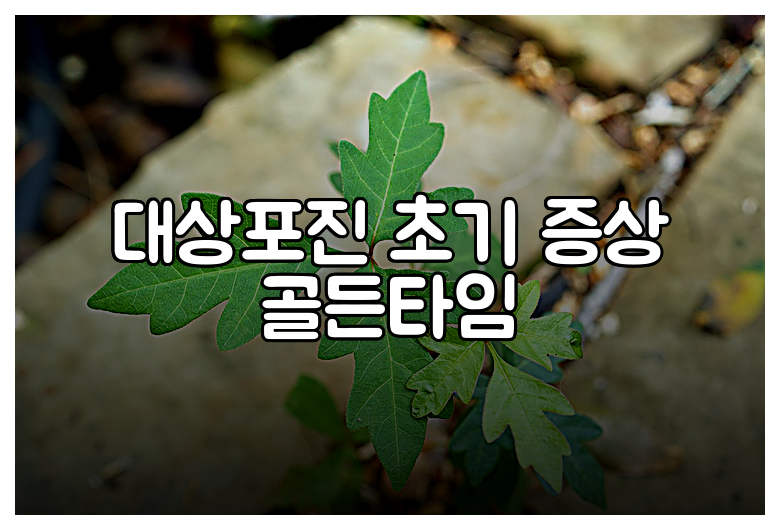 대상포진 초기 증상 골든타임