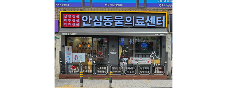 구리시 동물병원