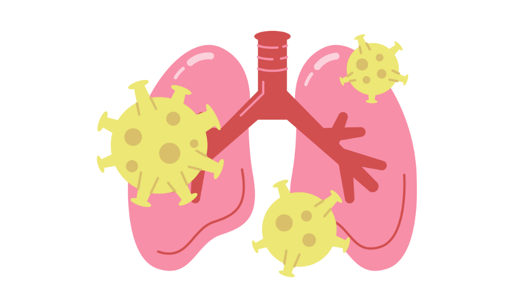 폐렴 예방, 홍삼