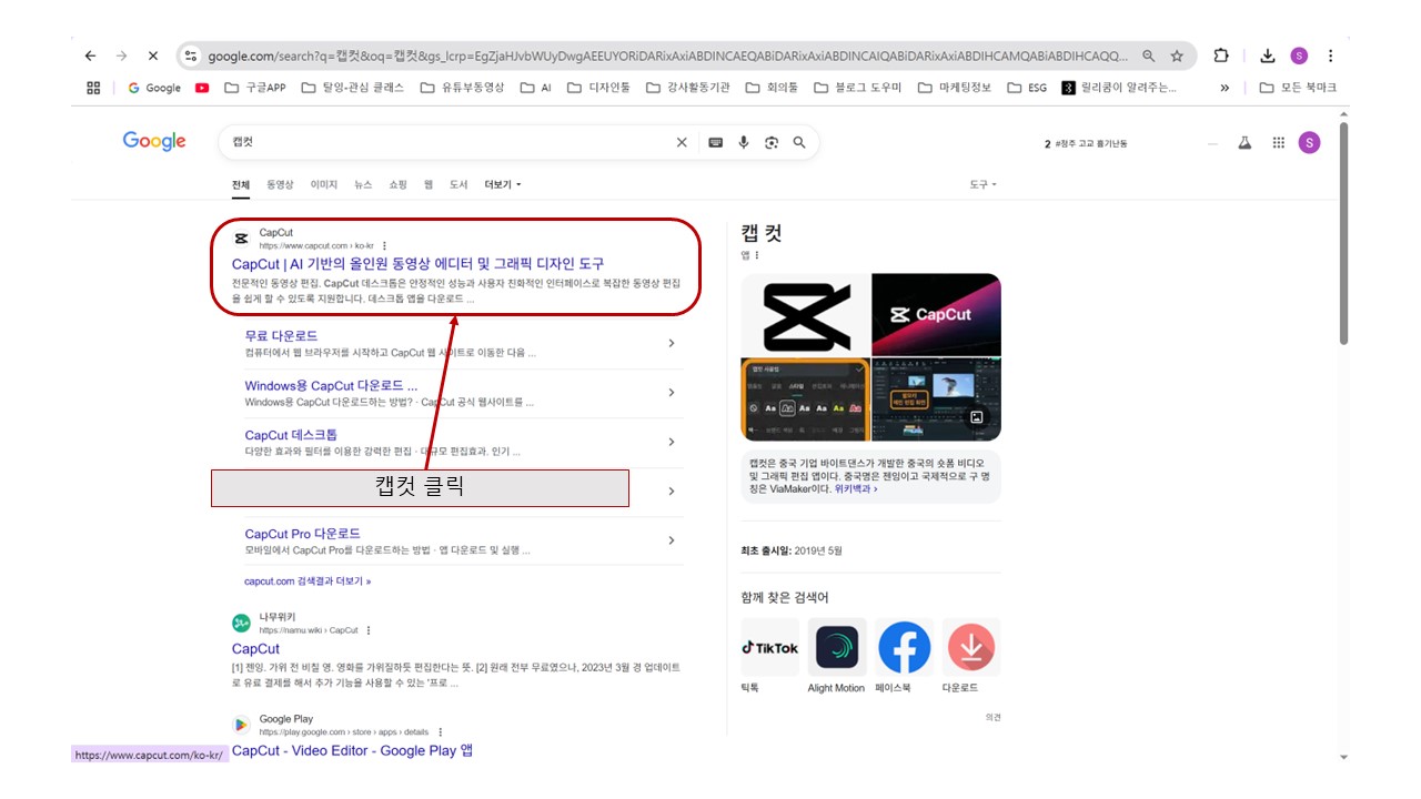 구글 검색창에서 캡첫 입력 후 엔처치면 나오는 화면