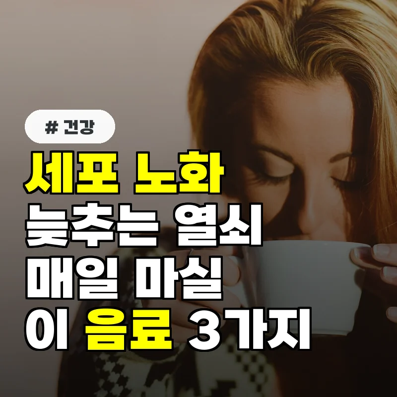 세포 노화 늦추는 열쇠! 매일 마셔야 할 '이 음료' 3가지