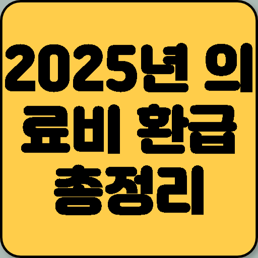 2025년 의료비 환급 총정리
