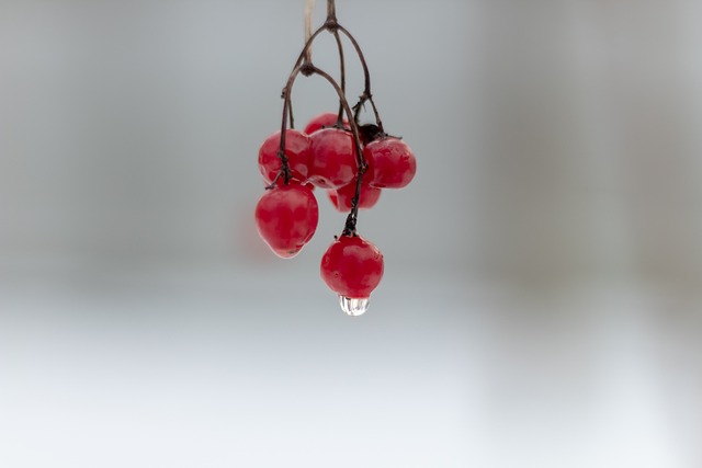 김수미 나이 프로필 정리 ✅