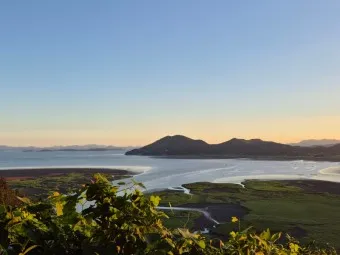 순천 가볼만한곳 베스트10 순천만 갈대밭 숨겨진 명소_19