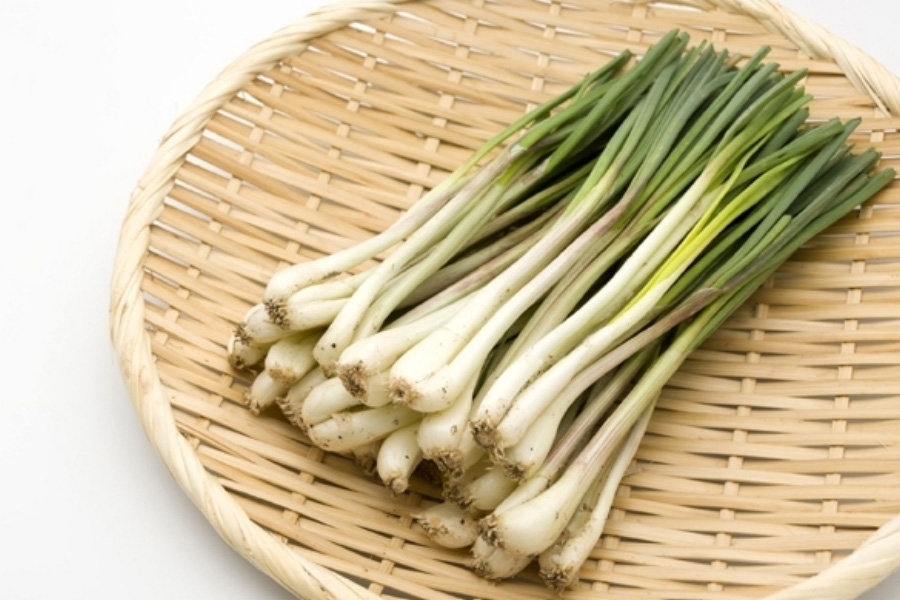 야생에서 채취를 한 염교 풀을 뿌리를 제거한 후에 동그란 대나무 바구니에 20여뿌리 놓아두고 찍은 사진