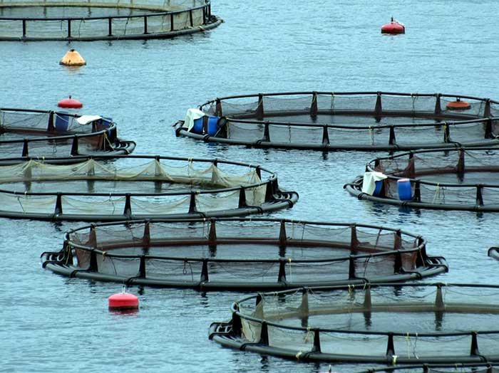 수산양식장 이미지