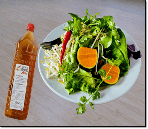 일과성 허혈 발작 치료