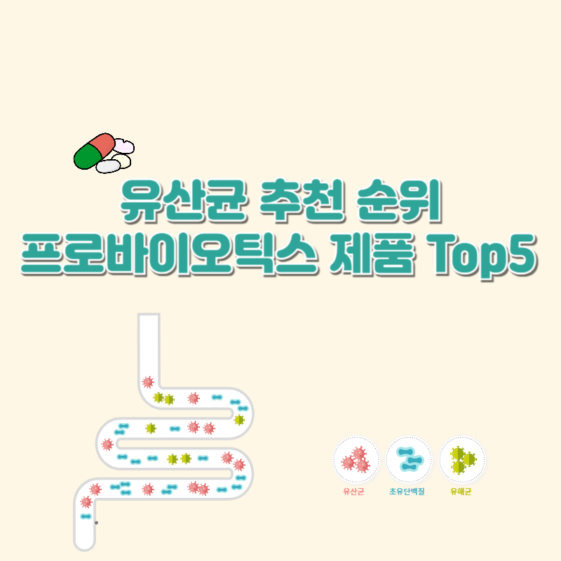 유산균 추천 순위: 프로바이오틱스 제품 Top5 추천