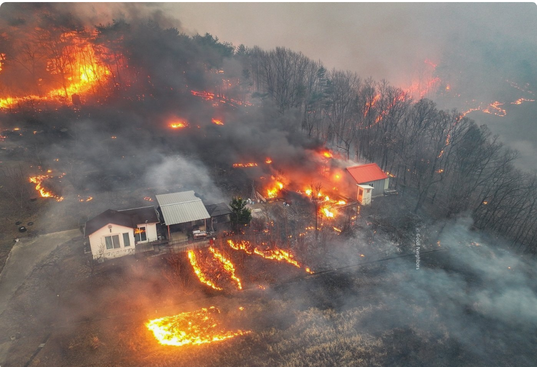 모든 것을 앗아간 대형 산불