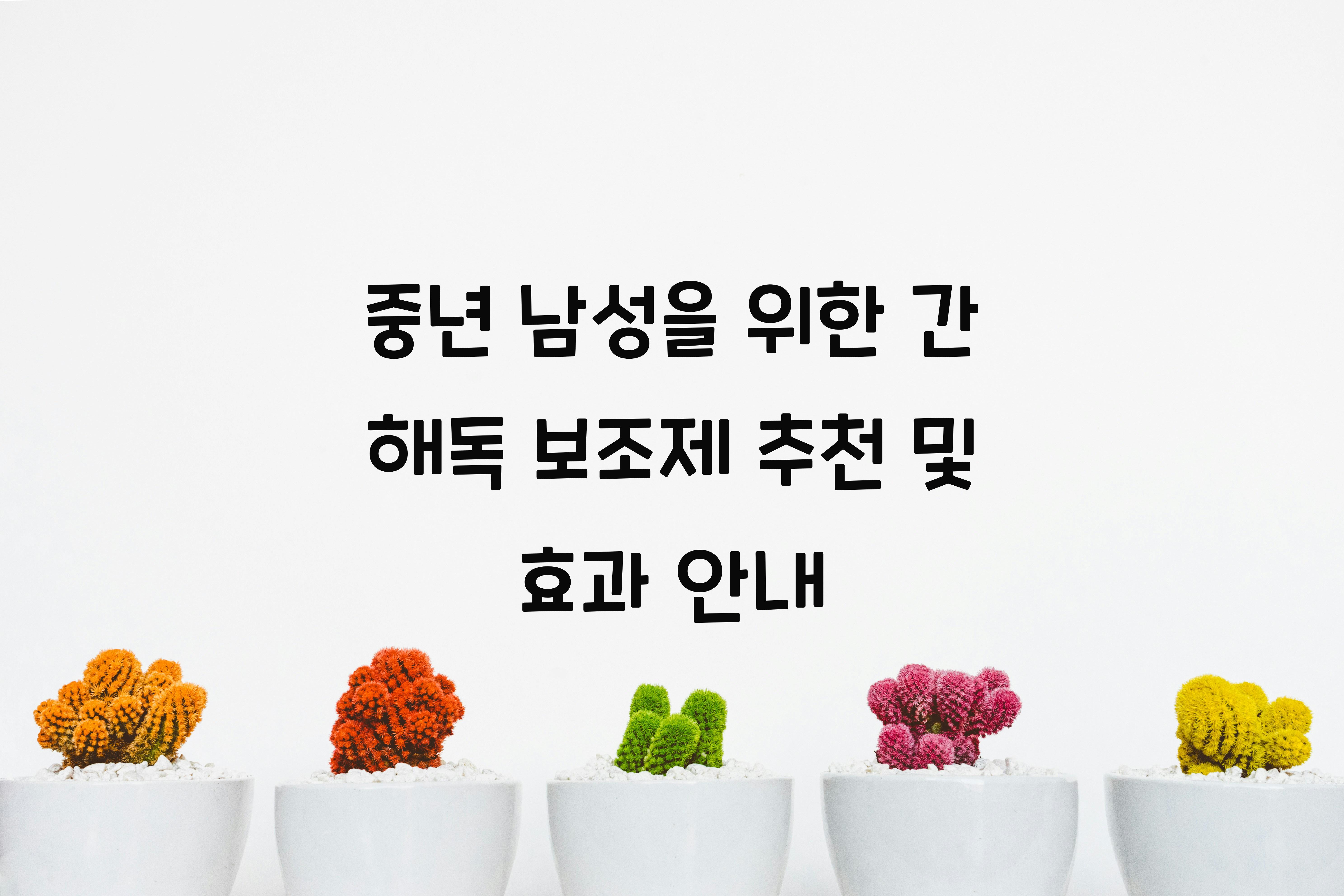 중년 남성 간 해독 보조제