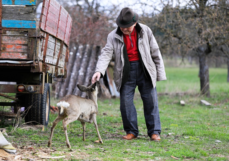 어르신 여름건강 수칙 (열사병, 냉방기, 수분)