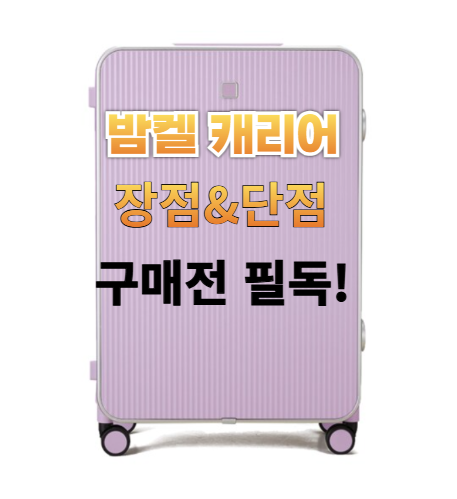 밤켈 캐리어