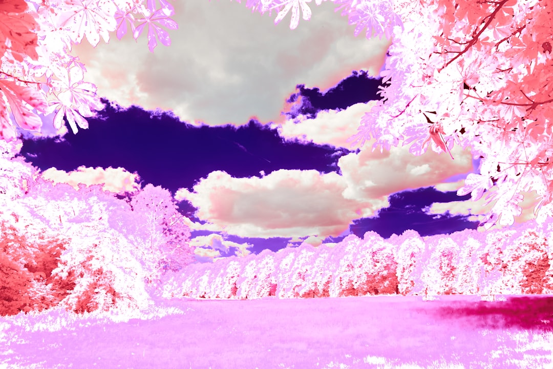 dream interpretation