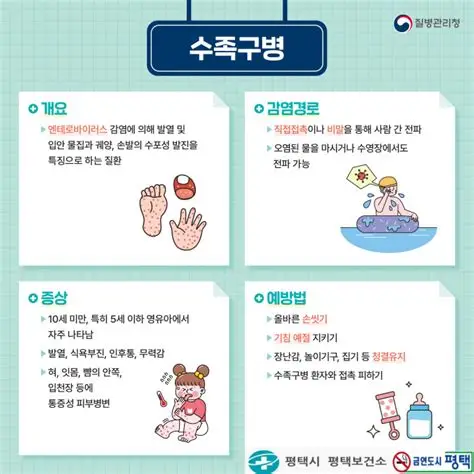 수족구병 개요 감염경로 증상 예방법