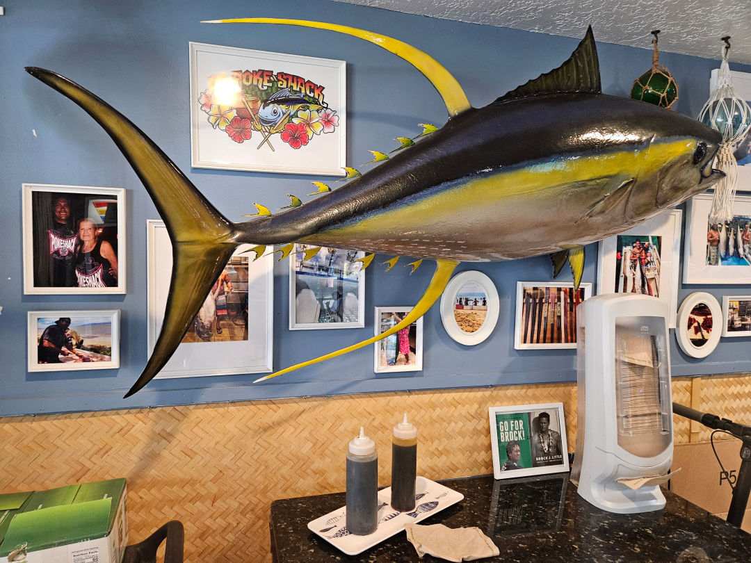 하와이 코나 다 포케 쉑 인테리어