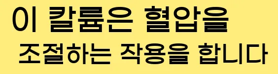  이 칼륨은 혈압을 조절하는 작용을 합니다