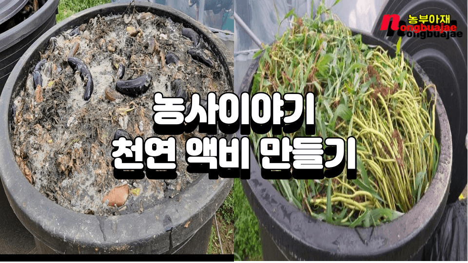 천연 액비 만들기