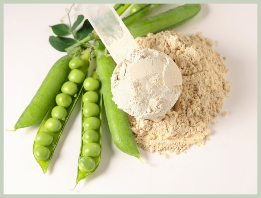 완두콩 피부미용 효과