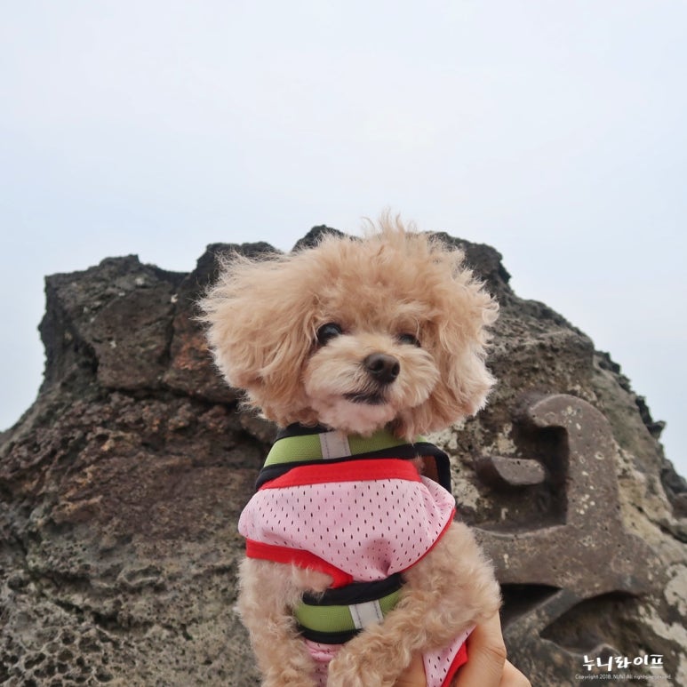큰엉해안경승지