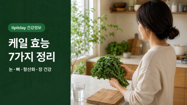 케일 효능 7가지 신선한 케일