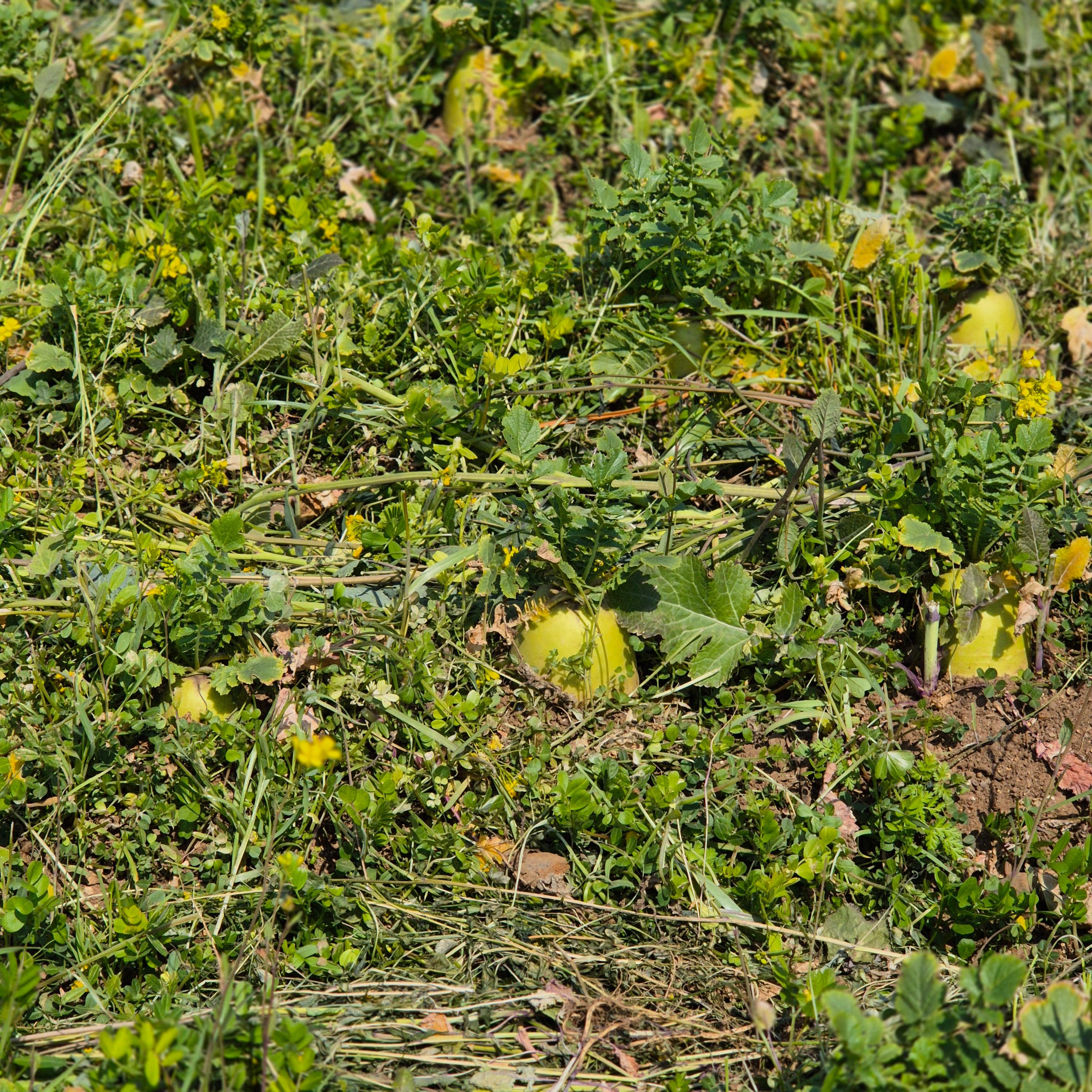 국내 여행지 베스트 10