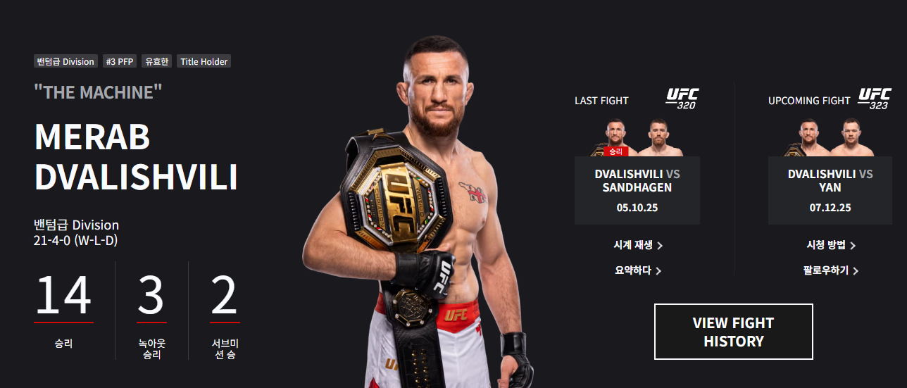 UFC 323
