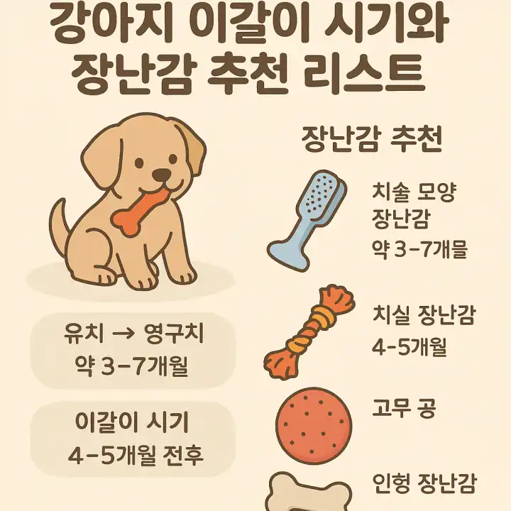 강아지 이갈이