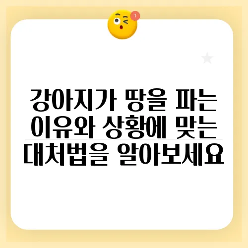 강아지가 땅을 파는 이유와 상황에 맞는 대처법을 알아보세요
