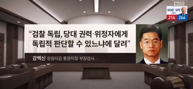 강백신 검사