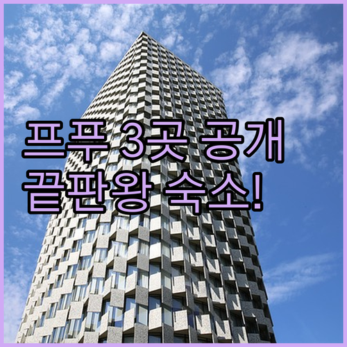 프랑크푸르트 호텔 이 3곳만 보세요 ..