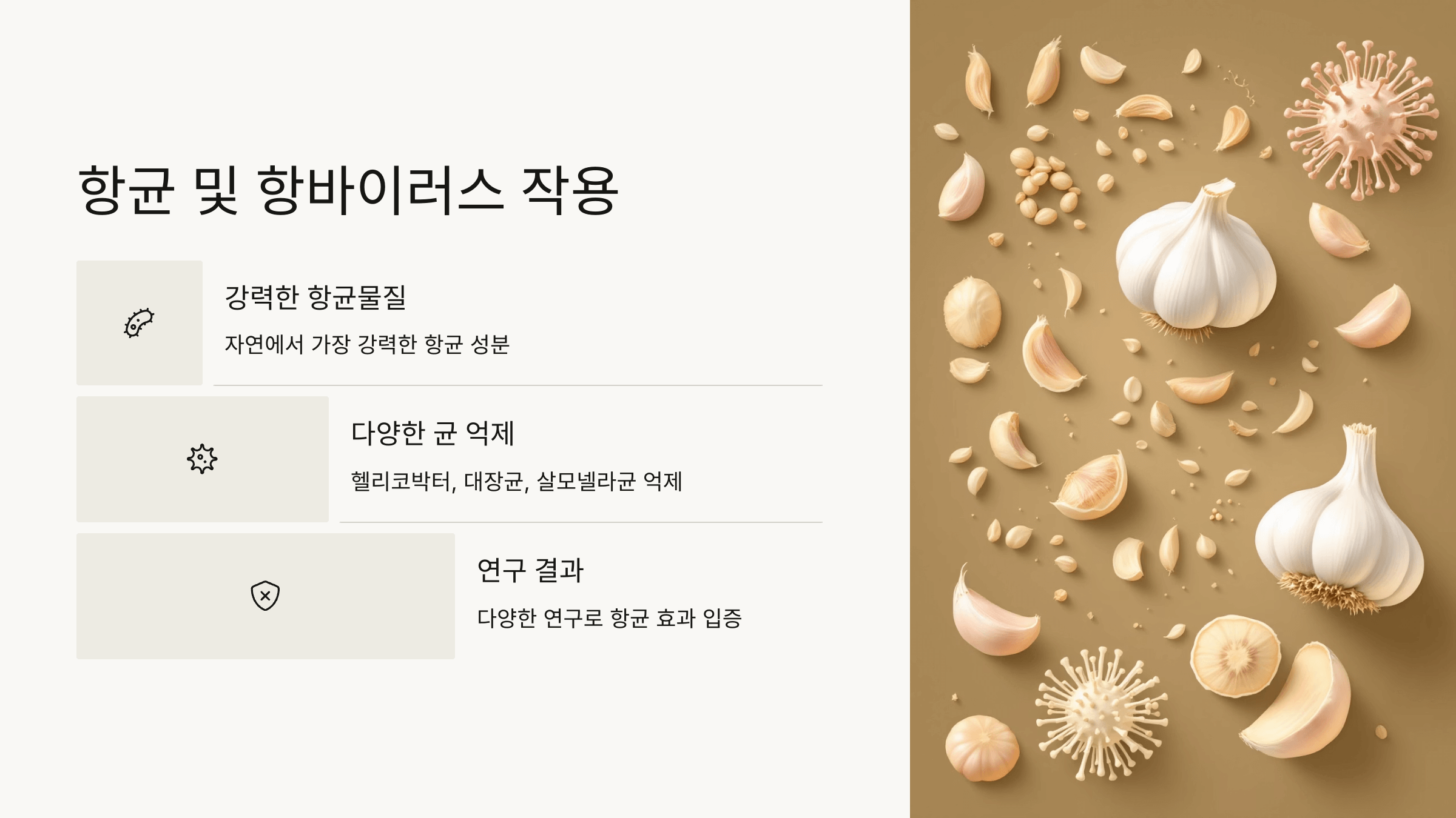 마늘 사진입니다.